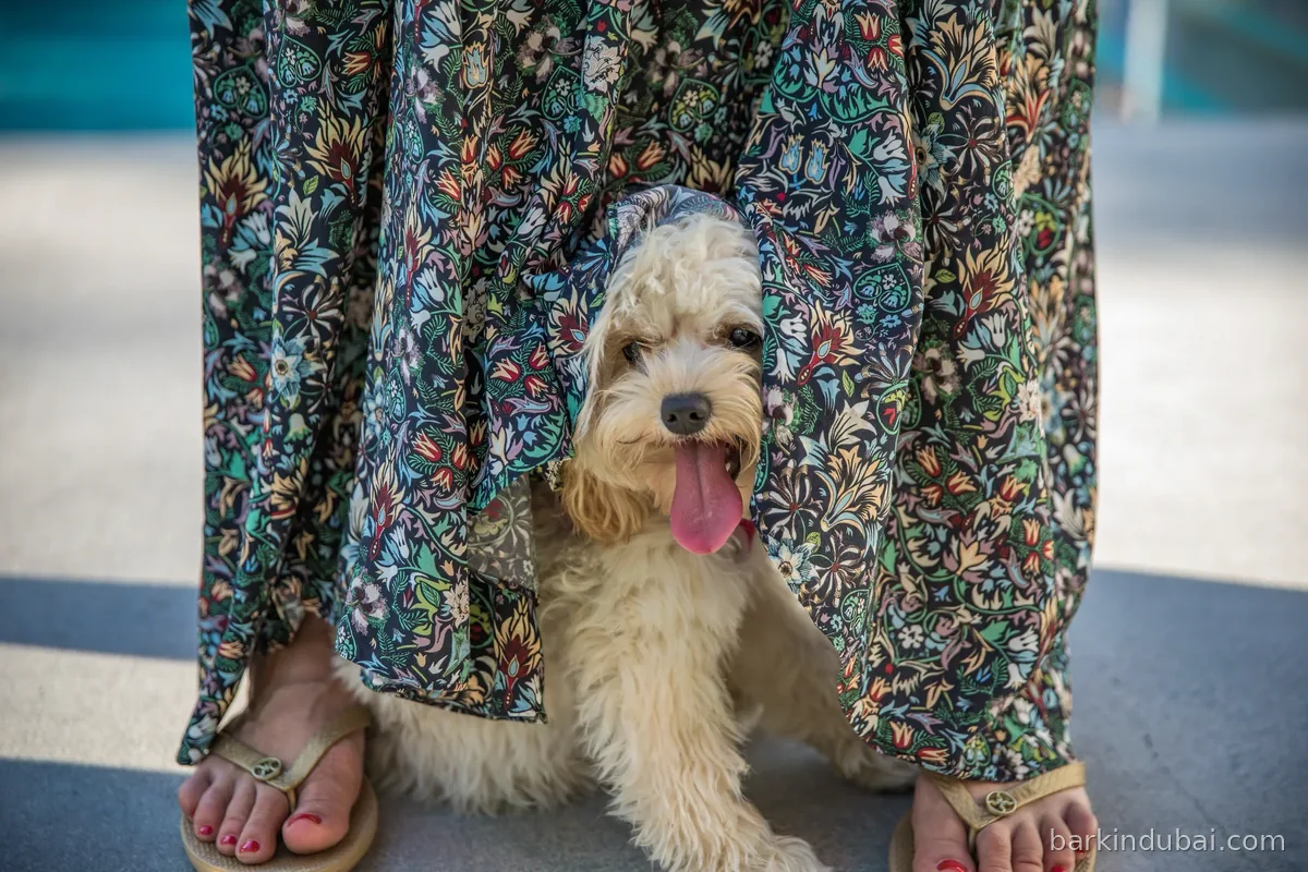 Dog peeking out from behind a floral print fabric