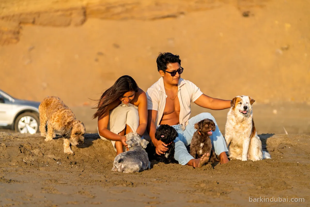 Couple relaxing at home with their two dogs