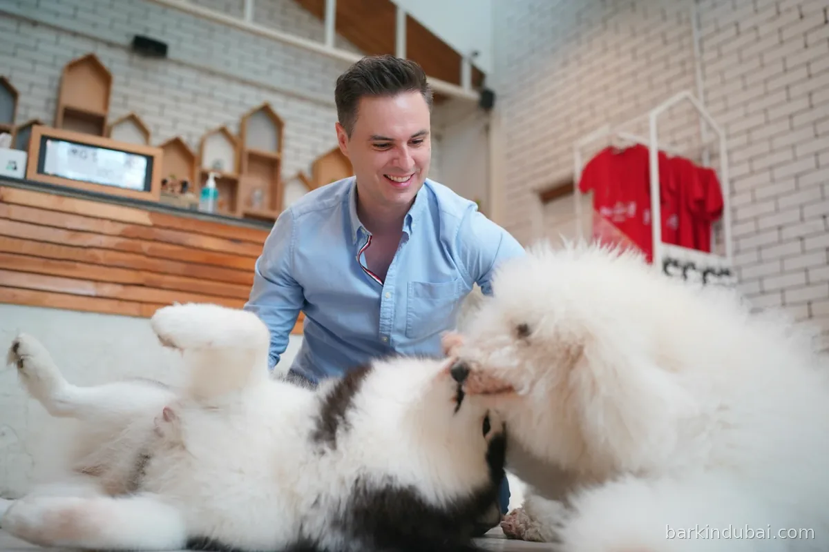 Man smiling while sitting between two large dogs