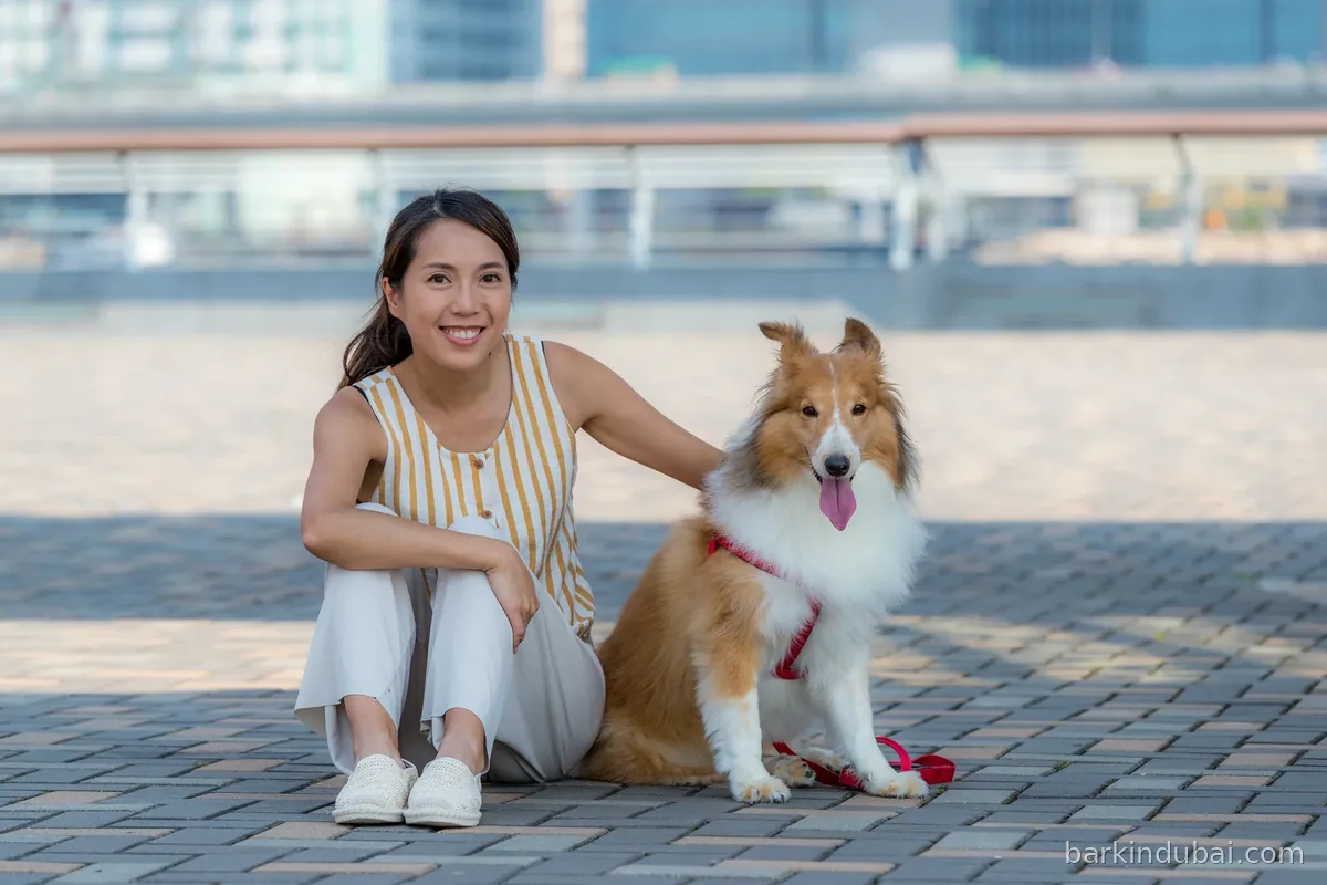 Woman sitting on the pavement beside her dog during a walk